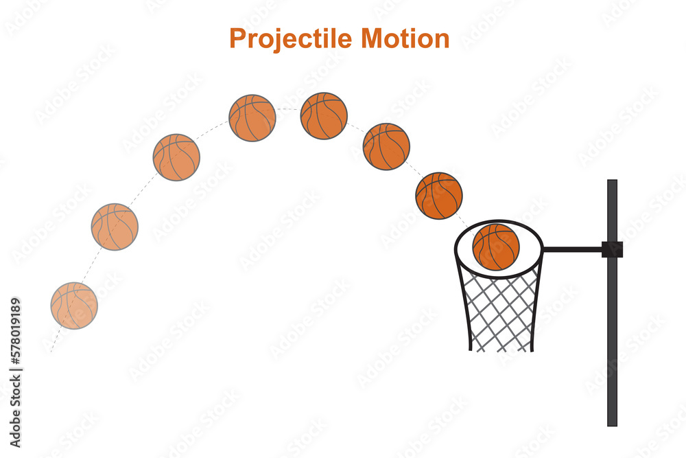 projective motion